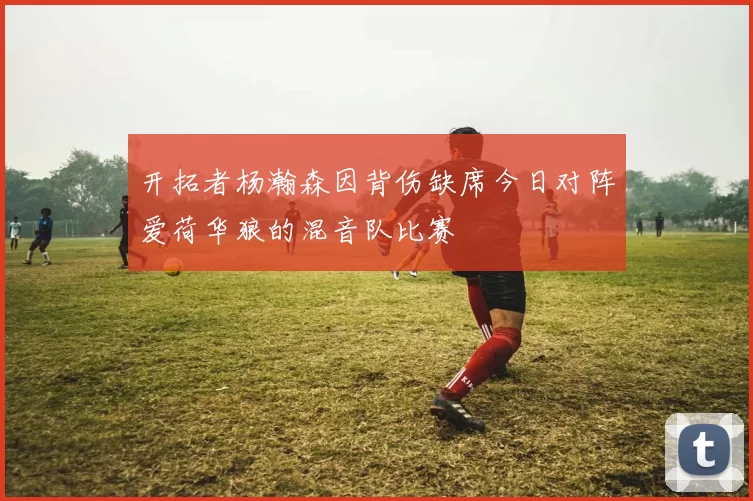 开拓者杨瀚森因背伤缺席今日对阵爱荷华狼的混音队比赛
