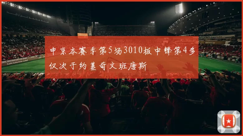 申京本赛季第5场3010板中锋第4多仅次于约基奇文班唐斯