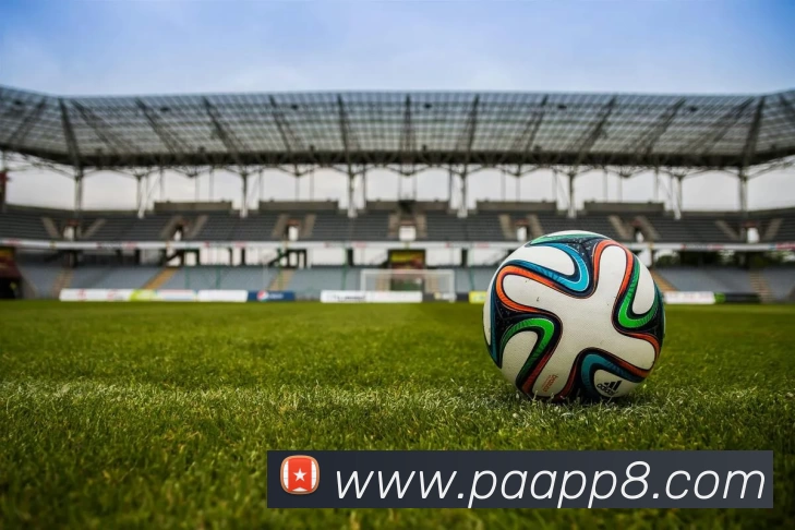 多媒体互动体验